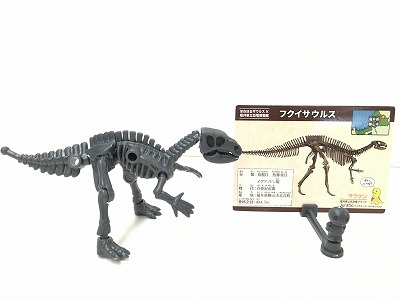 フクイサウルス１.jpg