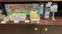 ★☆油揚げの老舗谷口屋さんでグッズ販売してるじゅら☆★